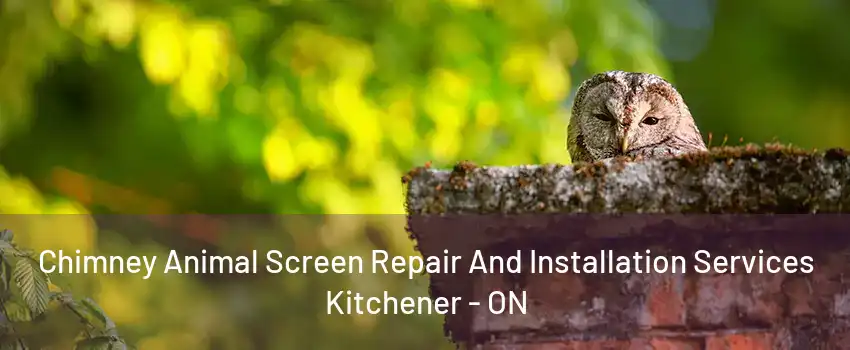 Chimney Animal Screen Repair And Installation Services Kitchener - ON