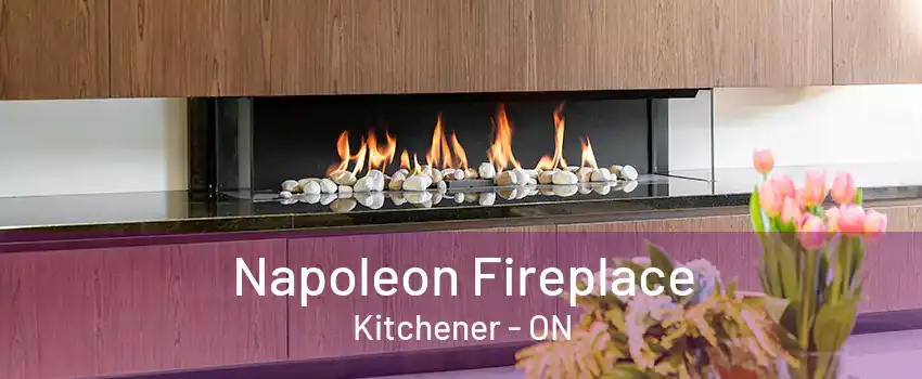 Napoleon Fireplace Kitchener - ON